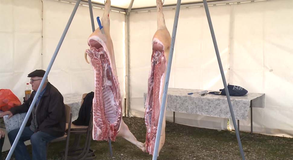 Vrijeme je svinjokolje – na području cijele Čapljine ima tek nešto više od 500 svinja